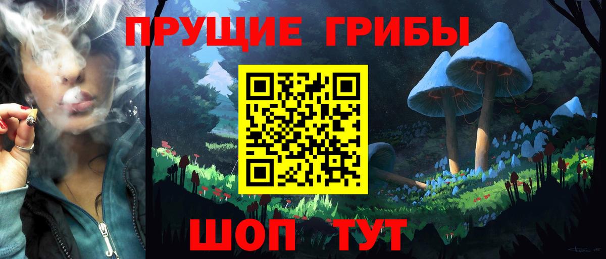 Галлюциногенные грибы Psilocybe  Галлюциногенные грибы мицелий  Краснодар  Вход с VPN 