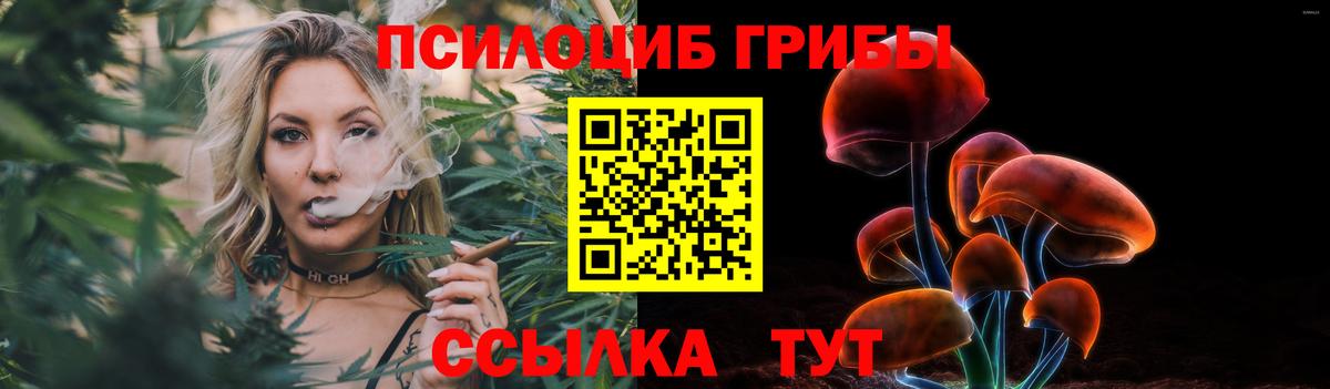 Псилоцибиновые грибы Psilocybe Краснодар